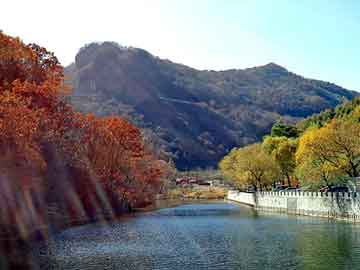 新澳天天开奖资料大全旅游团，王蓉精神病